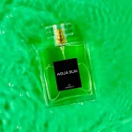 Aqua Sun 100ml - Perfume Masculino